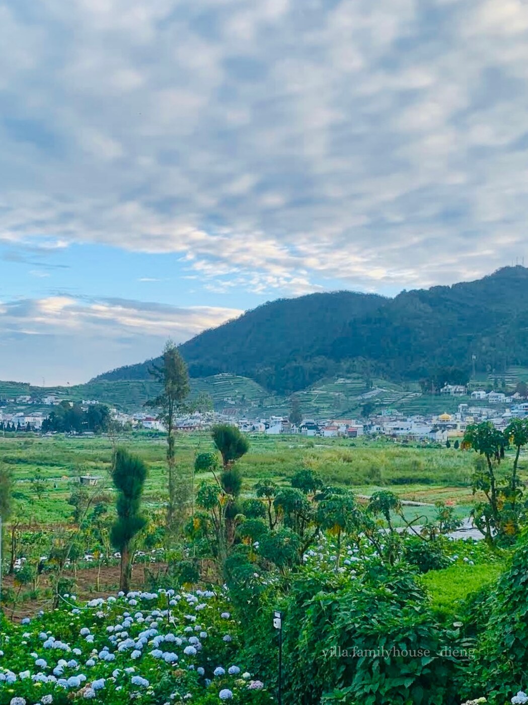 Viona Cabin (View Kebun Bunga)